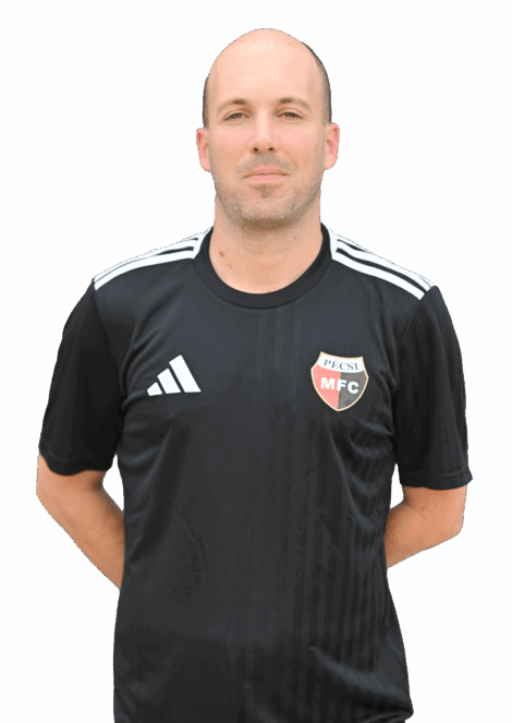 Dávid Roland