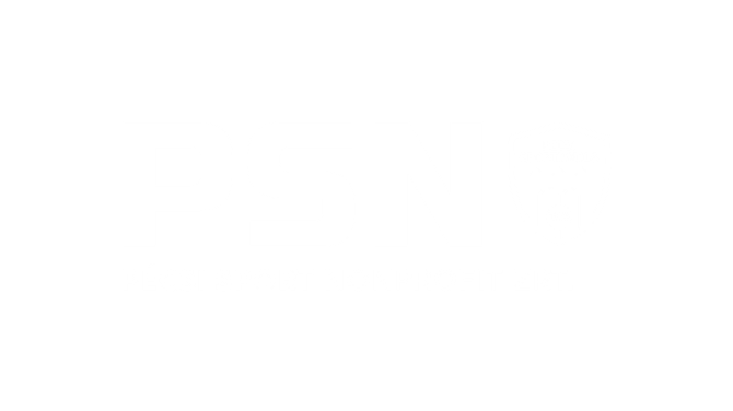 PSN Zrt.